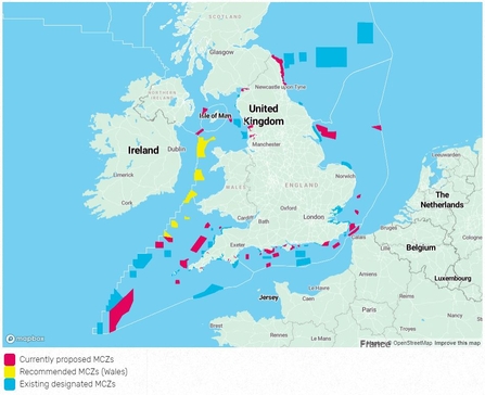 Marine Protected Areas in England 2 | The Wildlife Trusts
